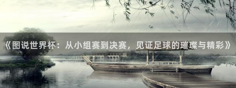 足球世界杯：《图说世界杯：从小组赛到决赛，见证足球的璀璨与精彩》