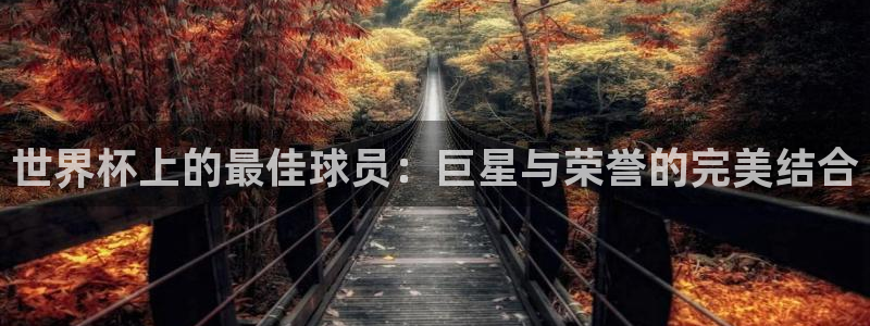 2026葡萄牙杯赛程表：世界杯上的最佳球员：巨星与荣誉的完美结合
