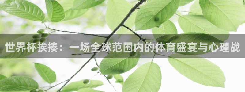 世界杯赛程2026：世界杯挨揍：一场全球范围内的体育盛宴与心理战