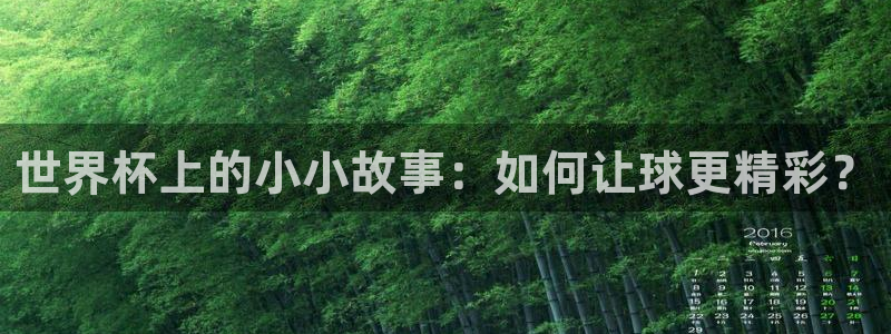 世界杯 赛程：世界杯上的小小故事：如何让球更精彩？