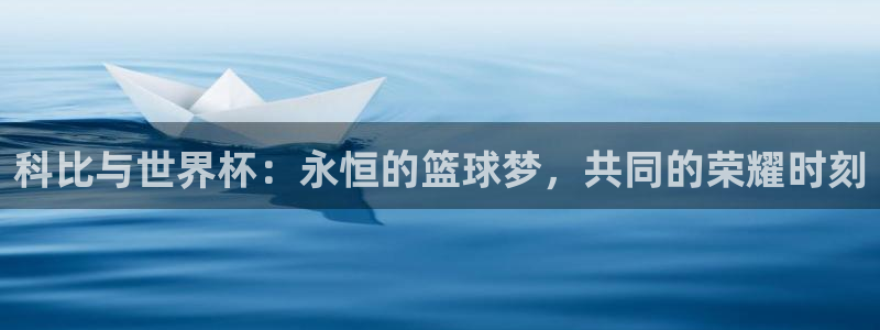 世界杯球队：科比与世界杯：永恒的篮球梦，共同的荣耀时刻