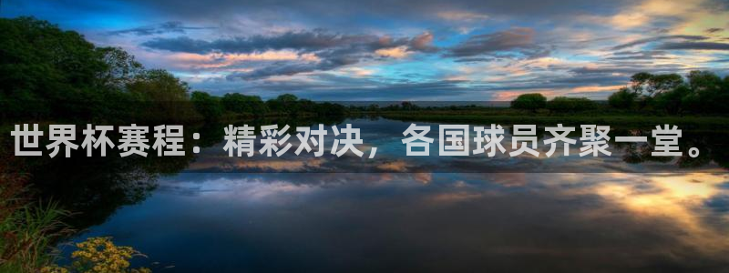 足球世界杯赛程：世界杯赛程：精彩对决，各国球员齐聚一堂。