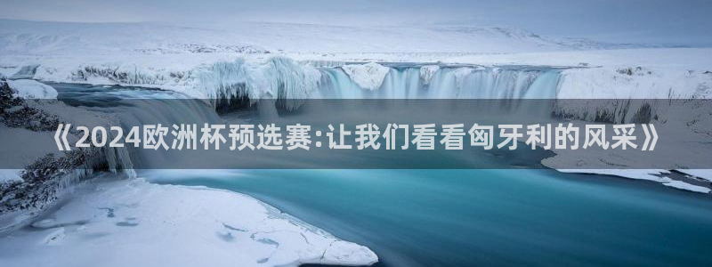 2026年世界杯对阵图：《2024欧洲杯预选赛:让我们看看匈牙利的风采》