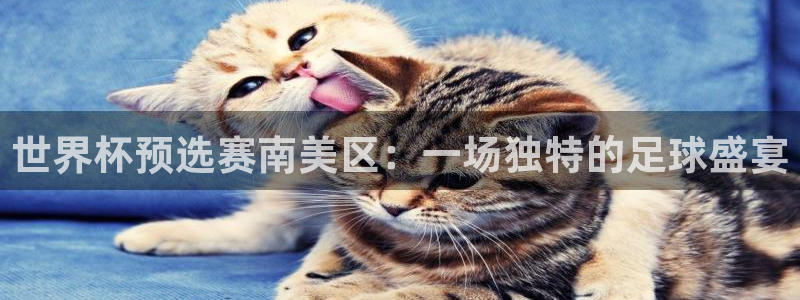 澳门世界杯直播：世界杯预选赛南美区：一场独特的足球盛宴