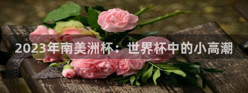 世界杯 2026：2023年南美洲杯：世界杯中的小高潮