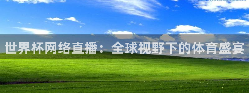 足球世界杯2026：世界杯网络直播：全球视野下的体育盛宴