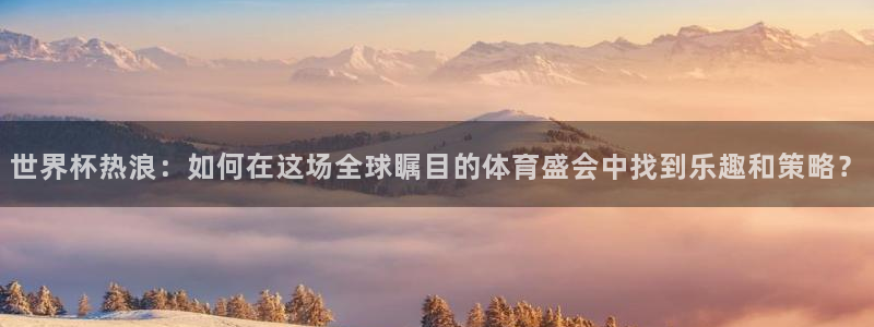 世界杯系列赛：世界杯热浪：如何在这场全球瞩目的体育盛会中找到乐趣和策略？
