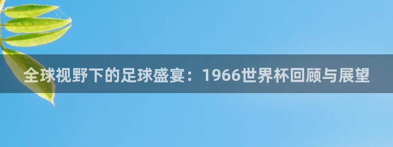 中国 世界杯：全球视野下的足球盛宴：1966世界杯回顾与展望
