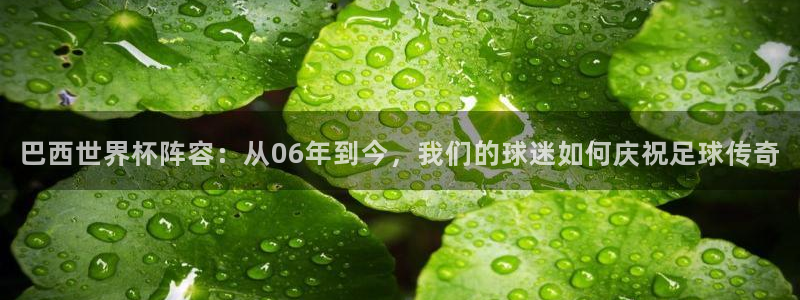 世界杯直播高清：巴西世界杯阵容：从06年到今，我们的球迷如何庆祝足球传奇