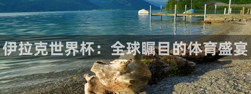 世界杯直播观看：伊拉克世界杯：全球瞩目的体育盛宴