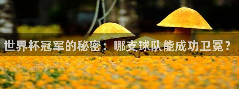 世预赛赛程表：世界杯冠军的秘密：哪支球队能成功卫冕？